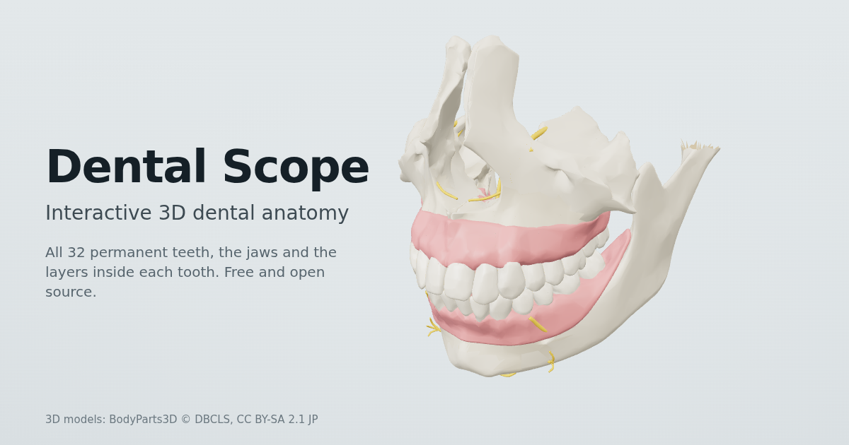 dental-scope.com image